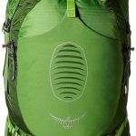 Osprey Atmos 65 AG Absinthe Green