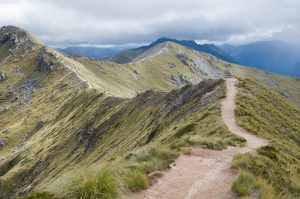 Kepler Track